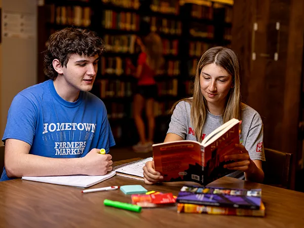 two students studying in a library
