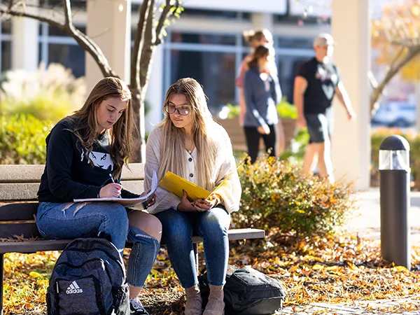 students studying outdoors on a park bench