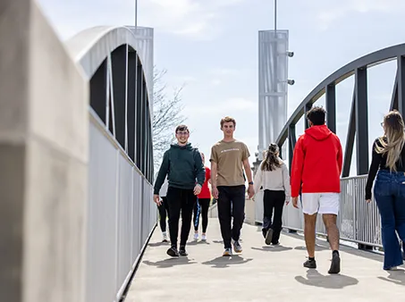 people walking on a bridge