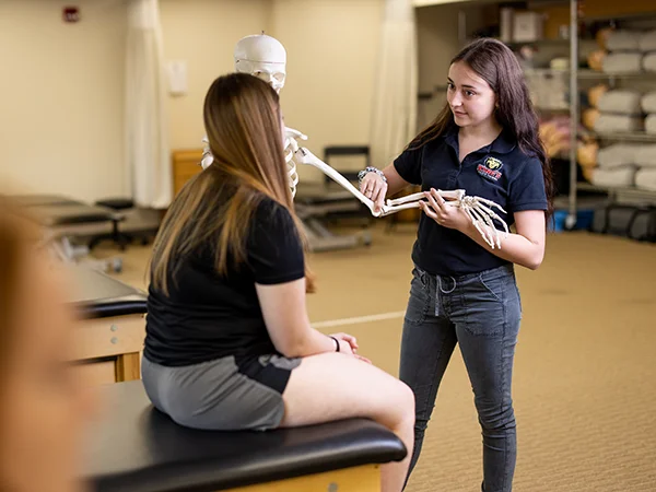 student demonstrating bone structure on a skeleton