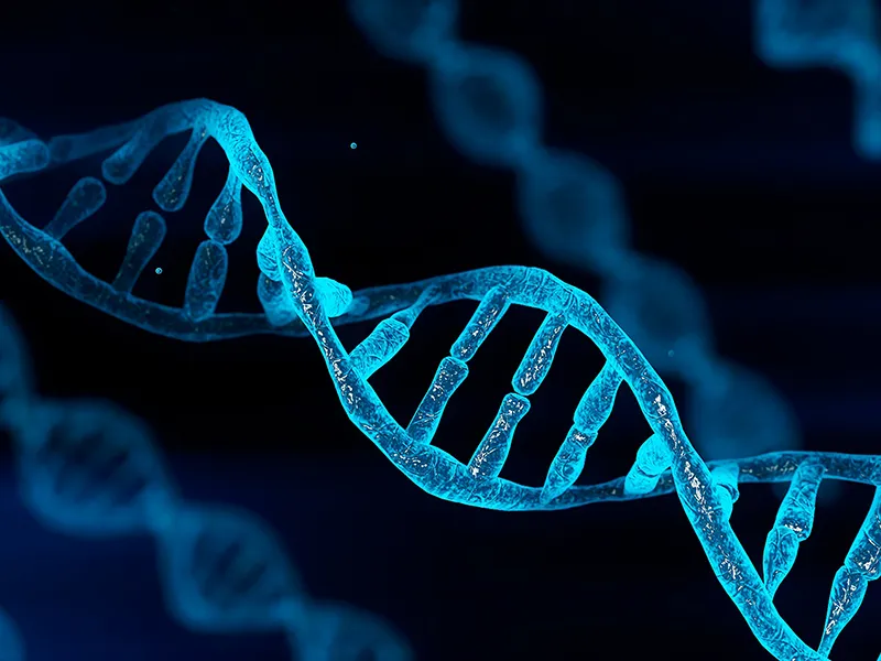 digital render of a DNA strand