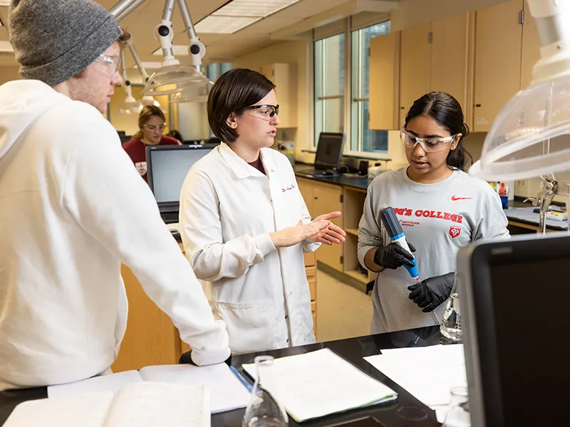 students in a lab setting collaborating