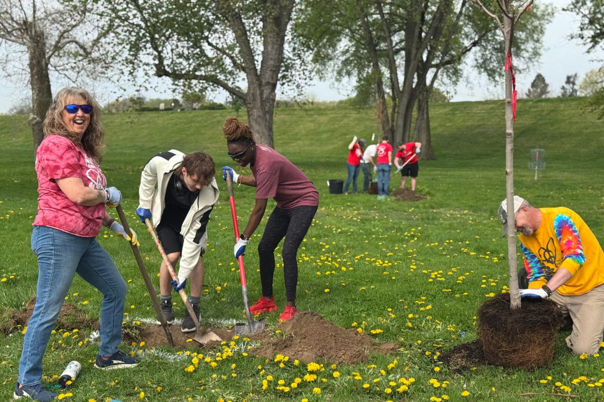 Volunteers planting trees