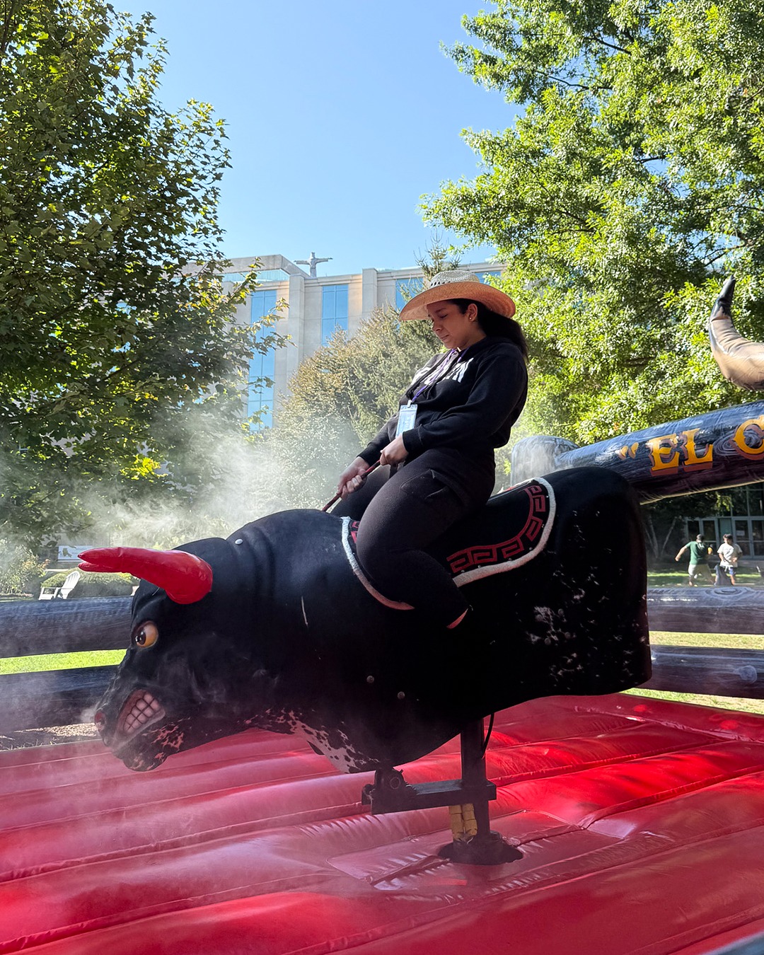 bull riding game