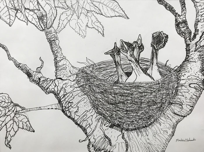 A pen and ink sketch by Maddie Olshemski will be among the creative works by local elementary students on display through July 14 in the “Young Artists” exhibition in the Widmann Gallery at King’s College. 