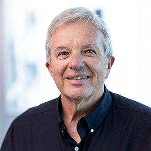 Portrait photo of Louis Palmeri in professional attire.