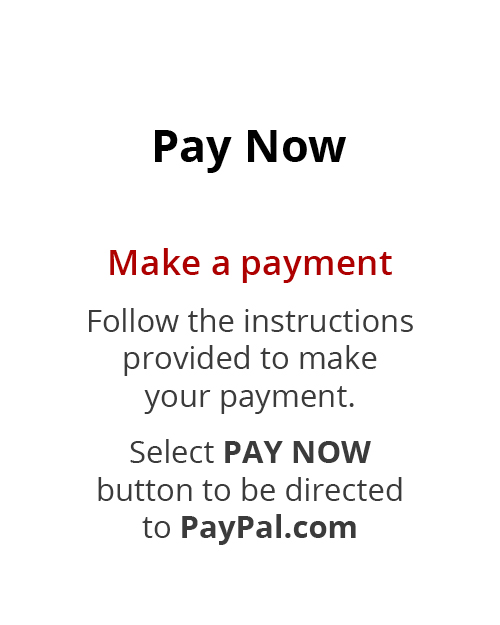 select Pay Now to pay with Paypal